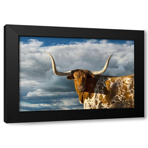 Texas Longhorn ~ Color Black Modern Wood Framed Art Print with Double Matting by Dawson, Robert