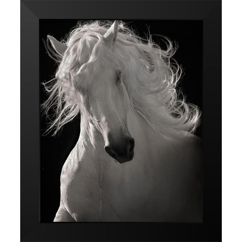 The Lusitano Dancer Black Modern Wood Framed Art Print by Dawson, Robert