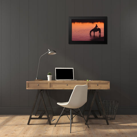 Texas Sunset Black Modern Wood Framed Art Print by Dawson, Robert