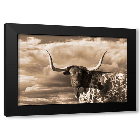 Texas Longhorn ~ Sepia Black Modern Wood Framed Art Print by Dawson, Robert