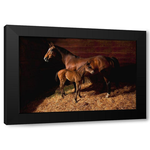 Waiting for the New Boss Black Modern Wood Framed Art Print with Double Matting by Dawson, Robert