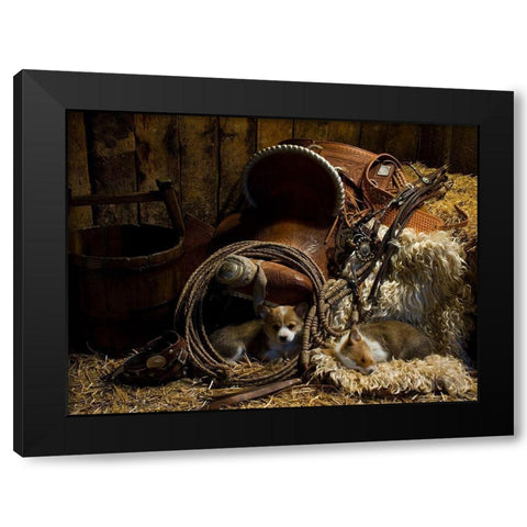 Waiting for the Boss Black Modern Wood Framed Art Print with Double Matting by Dawson, Robert