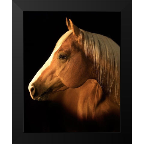 Yellow Jersey Black Modern Wood Framed Art Print by Dawson, Robert