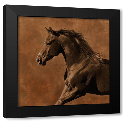 Westward Gallop Black Modern Wood Framed Art Print with Double Matting by Dawson, Robert