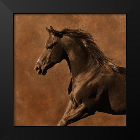 Westward Gallop Black Modern Wood Framed Art Print by Dawson, Robert