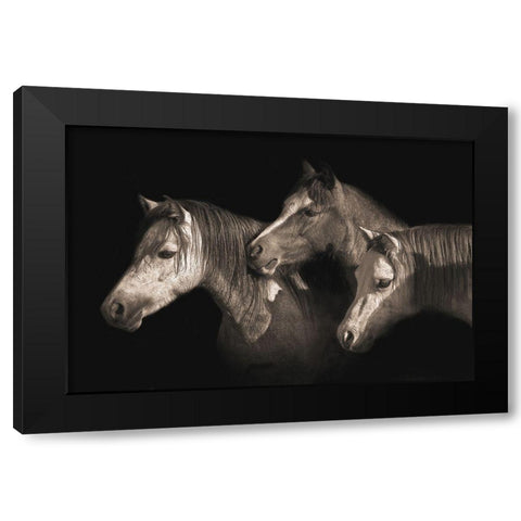 Three Ponies Black Modern Wood Framed Art Print with Double Matting by Dawson, Robert