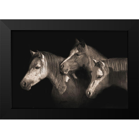 Three Ponies Black Modern Wood Framed Art Print by Dawson, Robert