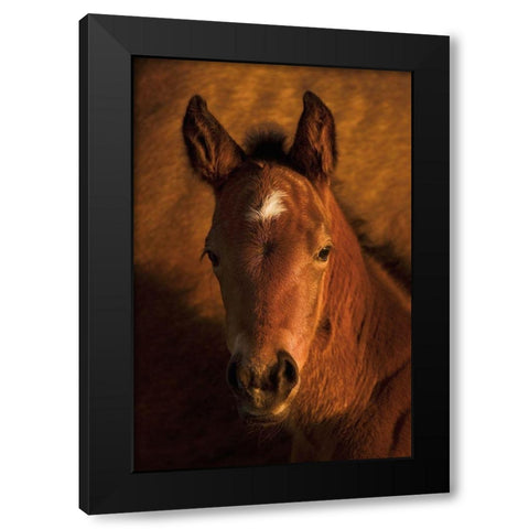 Whats Up Black Modern Wood Framed Art Print with Double Matting by Dawson, Robert