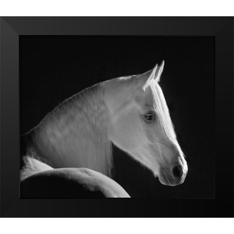White Shadow Black Modern Wood Framed Art Print by Dawson, Robert
