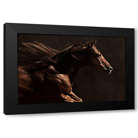 Into the Wind Black Modern Wood Framed Art Print by Dawson, Robert