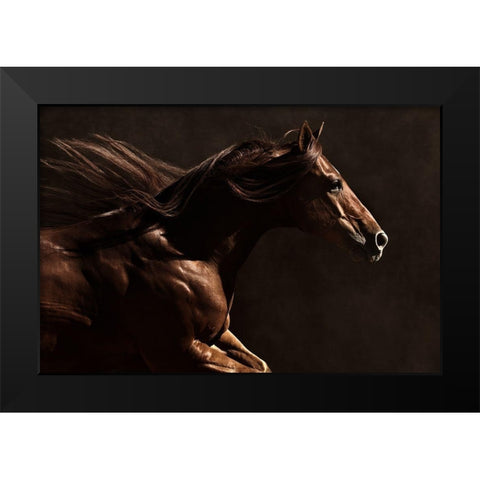 Into the Wind Black Modern Wood Framed Art Print by Dawson, Robert