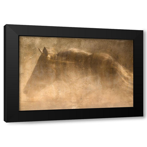 The Quarter Horse Black Modern Wood Framed Art Print with Double Matting by Dawson, Robert
