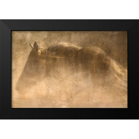 The Quarter Horse Black Modern Wood Framed Art Print by Dawson, Robert