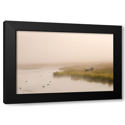Breakfast in Paridise Black Modern Wood Framed Art Print by Dawson, Robert