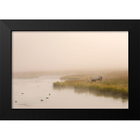 Breakfast in Paridise Black Modern Wood Framed Art Print by Dawson, Robert