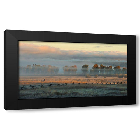 In the Morning Mist Black Modern Wood Framed Art Print with Double Matting by Dawson, Robert