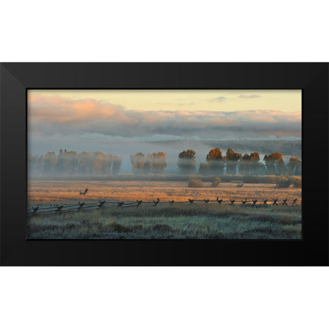 In the Morning Mist Black Modern Wood Framed Art Print by Dawson, Robert