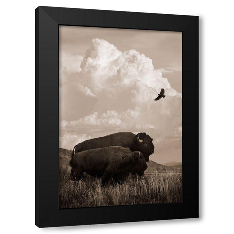 The American Buffalo Black Modern Wood Framed Art Print with Double Matting by Dawson, Robert