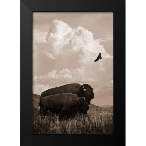 The American Buffalo Black Modern Wood Framed Art Print by Dawson, Robert