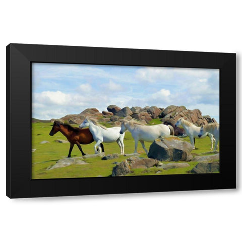 Wild Horses II Black Modern Wood Framed Art Print by Bolokofsky, Ronald
