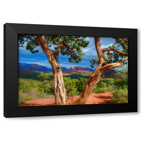Sedona Red III Black Modern Wood Framed Art Print by Bolokofsky, Ronald