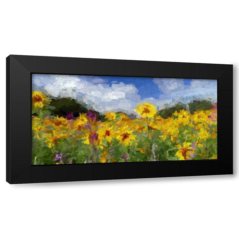 Sunflower Fields II Black Modern Wood Framed Art Print with Double Matting by Bolokofsky, Ronald
