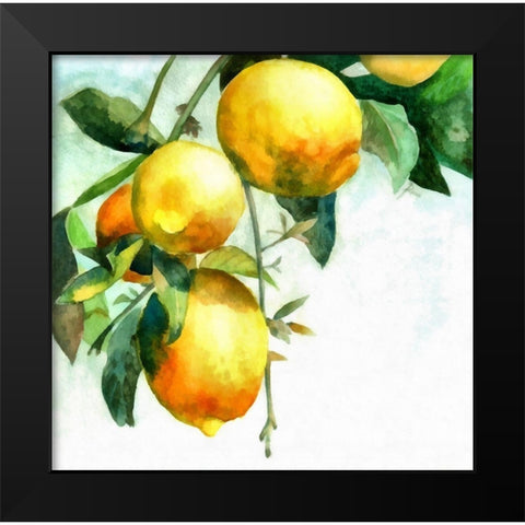 Lemons Black Modern Wood Framed Art Print by Bolokofsky, Ronald