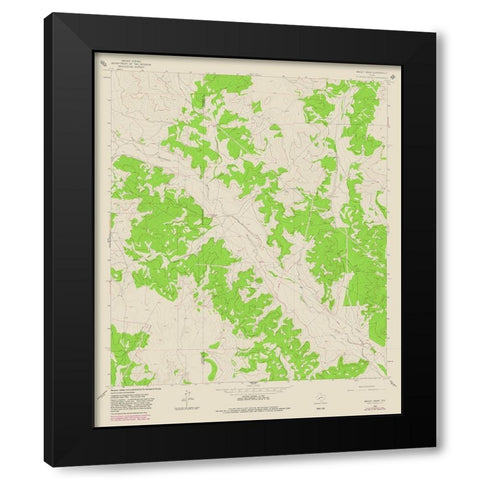 Bailey Draw Texas Quad - USGS 1964 Black Modern Wood Framed Art Print with Double Matting by USGS
