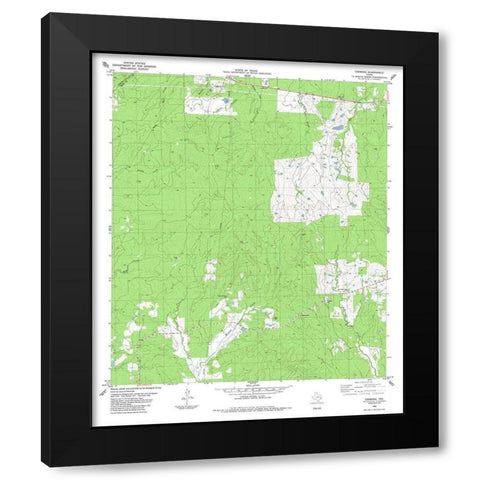 Carmona Texas Quad - USGS 1984 Black Modern Wood Framed Art Print with Double Matting by USGS