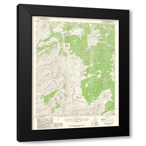 Horse Pasture Mesa Utah Quad - USGS 1987 Black Modern Wood Framed Art Print with Double Matting by USGS