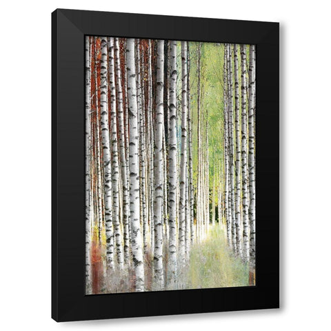 Abstract Birch II Black Modern Wood Framed Art Print with Double Matting by Brey