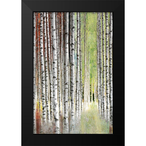Abstract Birch II Black Modern Wood Framed Art Print by Brey