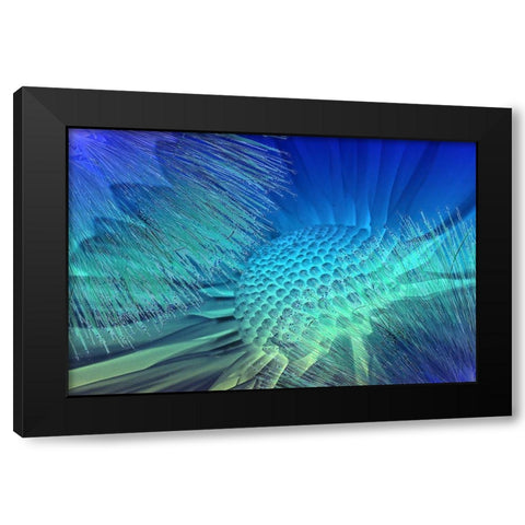 Emerge in Blue Black Modern Wood Framed Art Print with Double Matting by Bartola