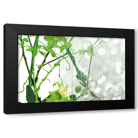 Branch In Green II Black Modern Wood Framed Art Print with Double Matting by Franklin