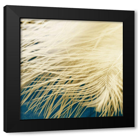 Feathergold I Black Modern Wood Framed Art Print with Double Matting by Franklin