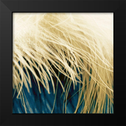 Feathergold II Black Modern Wood Framed Art Print by Franklin