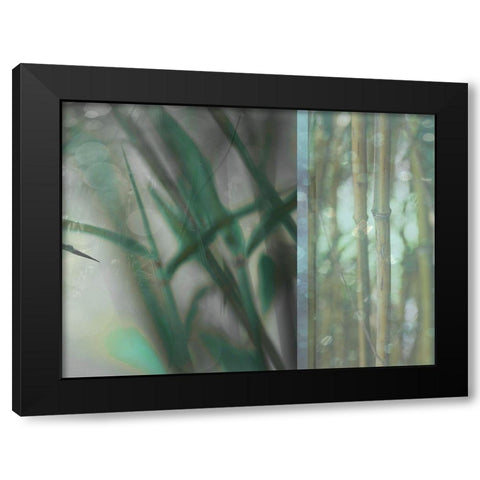 Morning Bamboo I Black Modern Wood Framed Art Print with Double Matting by Franklin