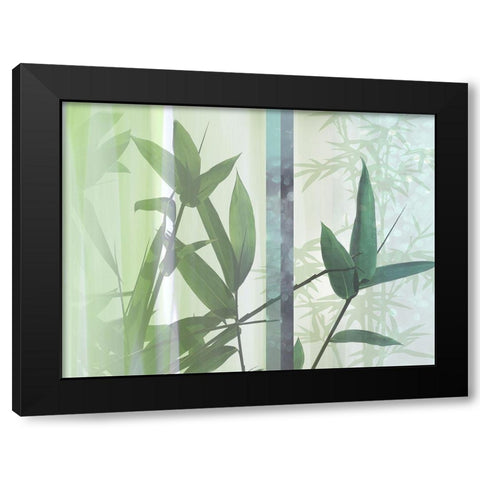 Morning Bamboo II Black Modern Wood Framed Art Print with Double Matting by Franklin