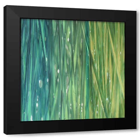 Natural Dance I Black Modern Wood Framed Art Print with Double Matting by Franklin
