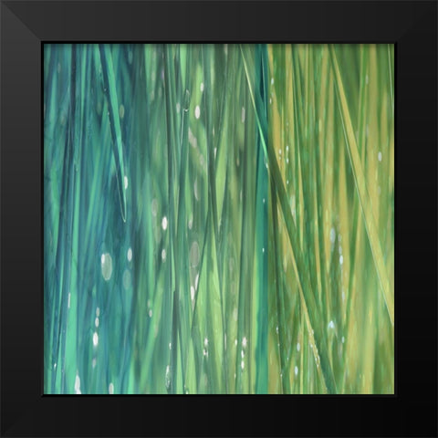 Natural Dance I Black Modern Wood Framed Art Print by Franklin