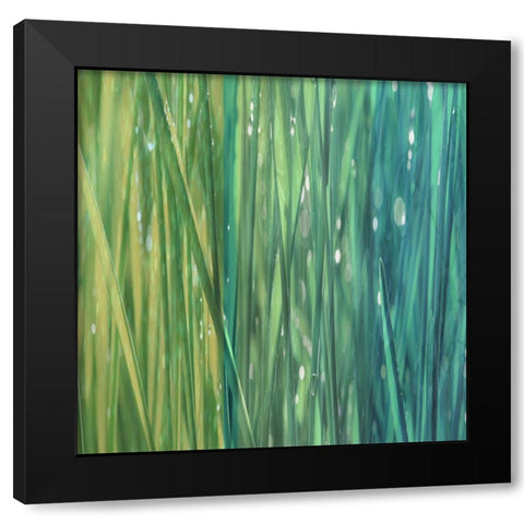 Natural Dance II Black Modern Wood Framed Art Print by Franklin