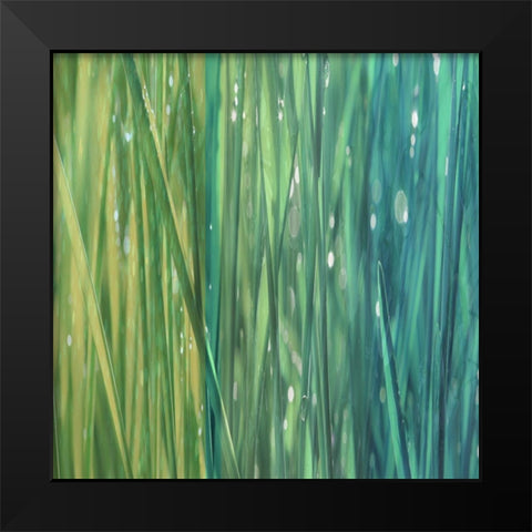 Natural Dance II Black Modern Wood Framed Art Print by Franklin