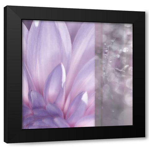 Purple Mist Black Modern Wood Framed Art Print with Double Matting by Franklin