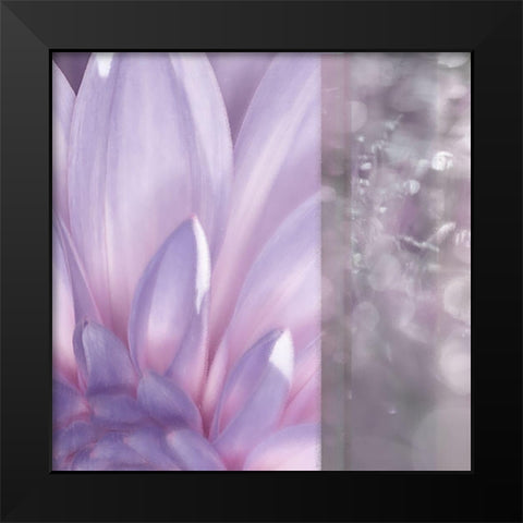 Purple Mist Black Modern Wood Framed Art Print by Franklin