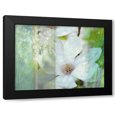 Magnolia Mist Black Modern Wood Framed Art Print with Double Matting by Franklin