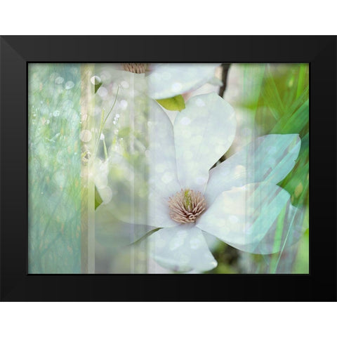 Magnolia Mist Black Modern Wood Framed Art Print by Franklin