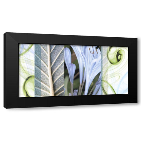 Dreamy Black Modern Wood Framed Art Print with Double Matting by Franklin