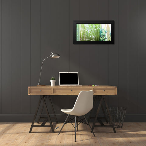 Morning Dew Black Modern Wood Framed Art Print by Franklin