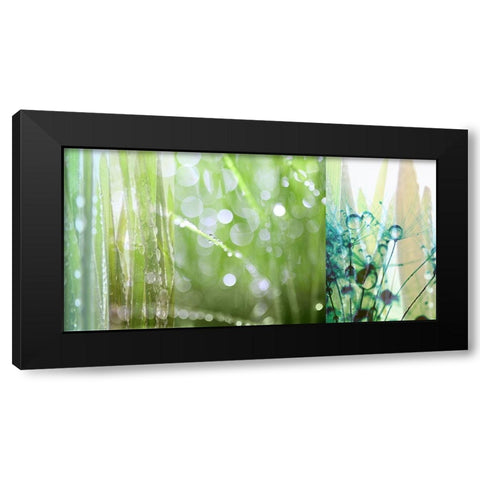 Morning Dew Black Modern Wood Framed Art Print with Double Matting by Franklin
