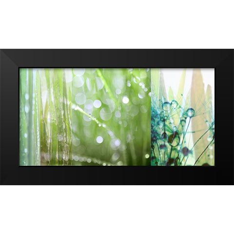 Morning Dew Black Modern Wood Framed Art Print by Franklin